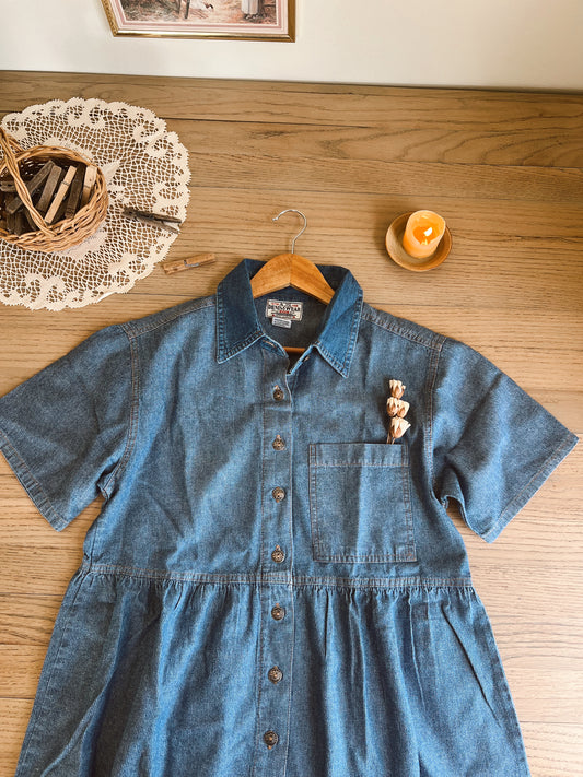 Vintage Demin Dress (M)