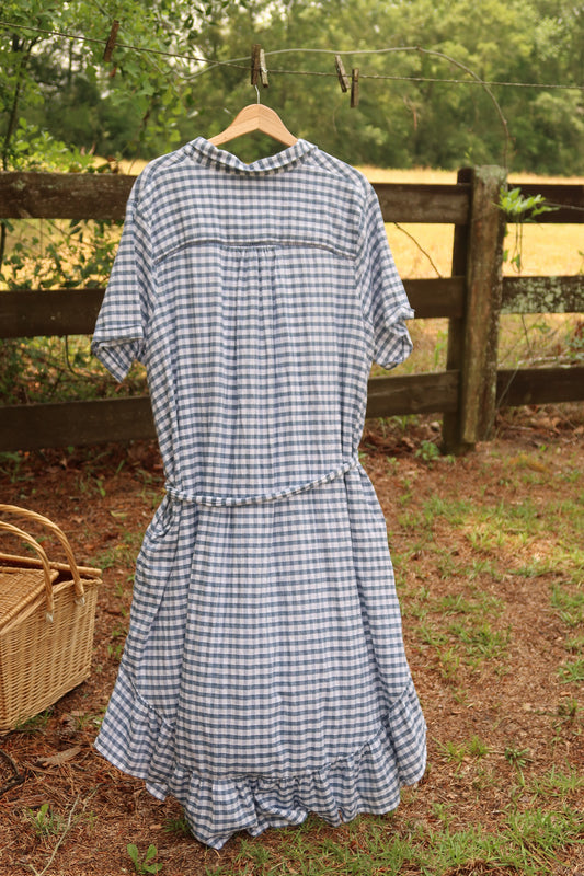 Dreamy Gingham Maxi Dress (1X/3X)