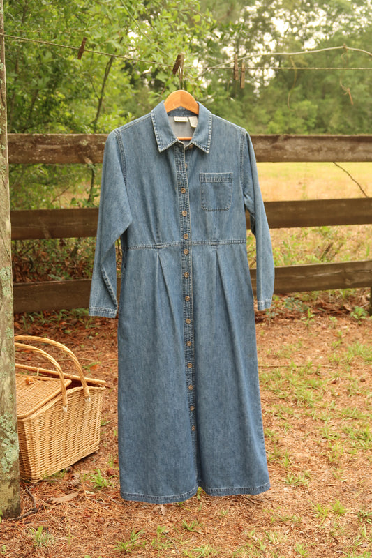 L.L. Bean Dress (6)