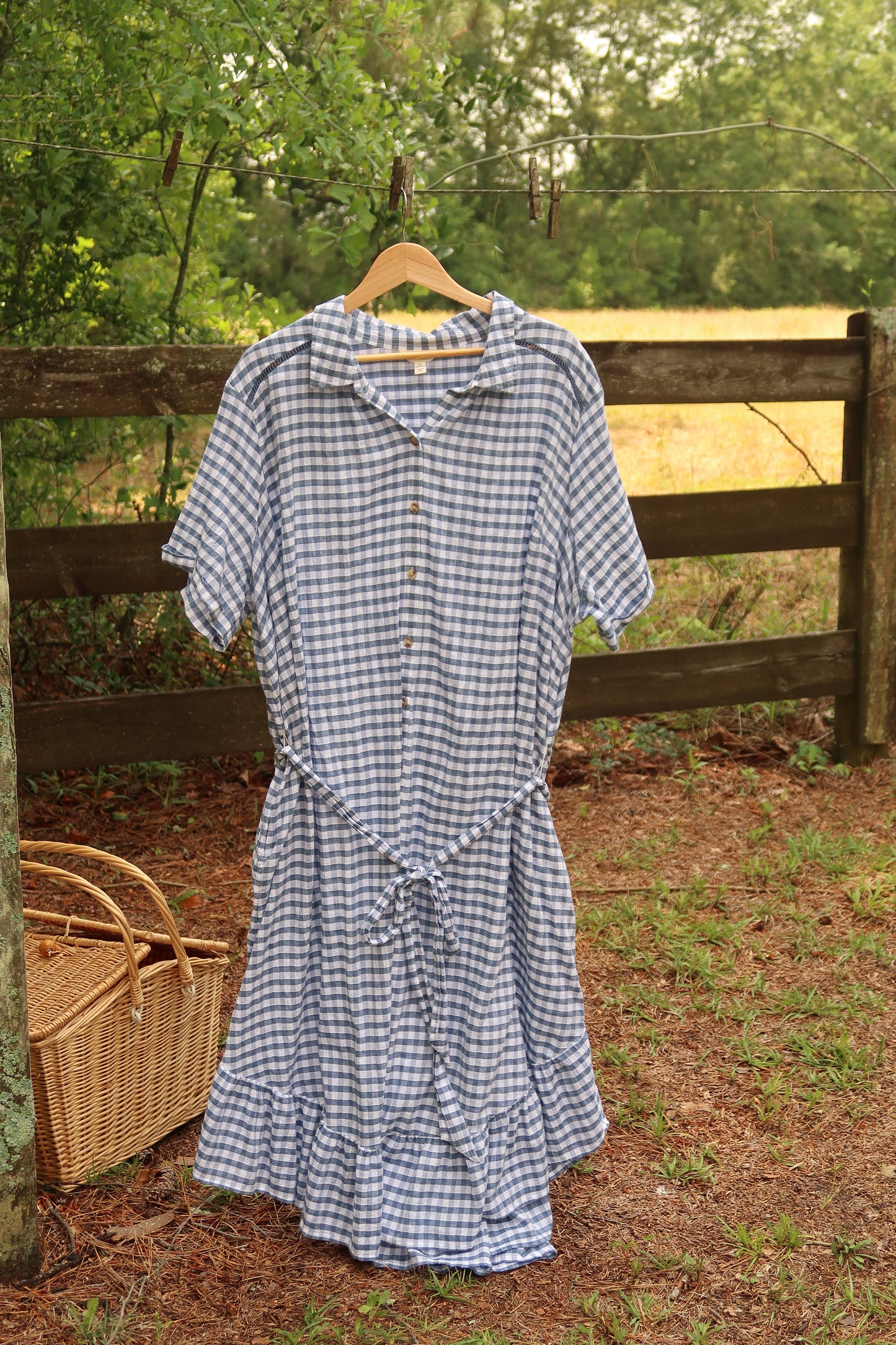 Dreamy Gingham Maxi Dress (1X/3X)