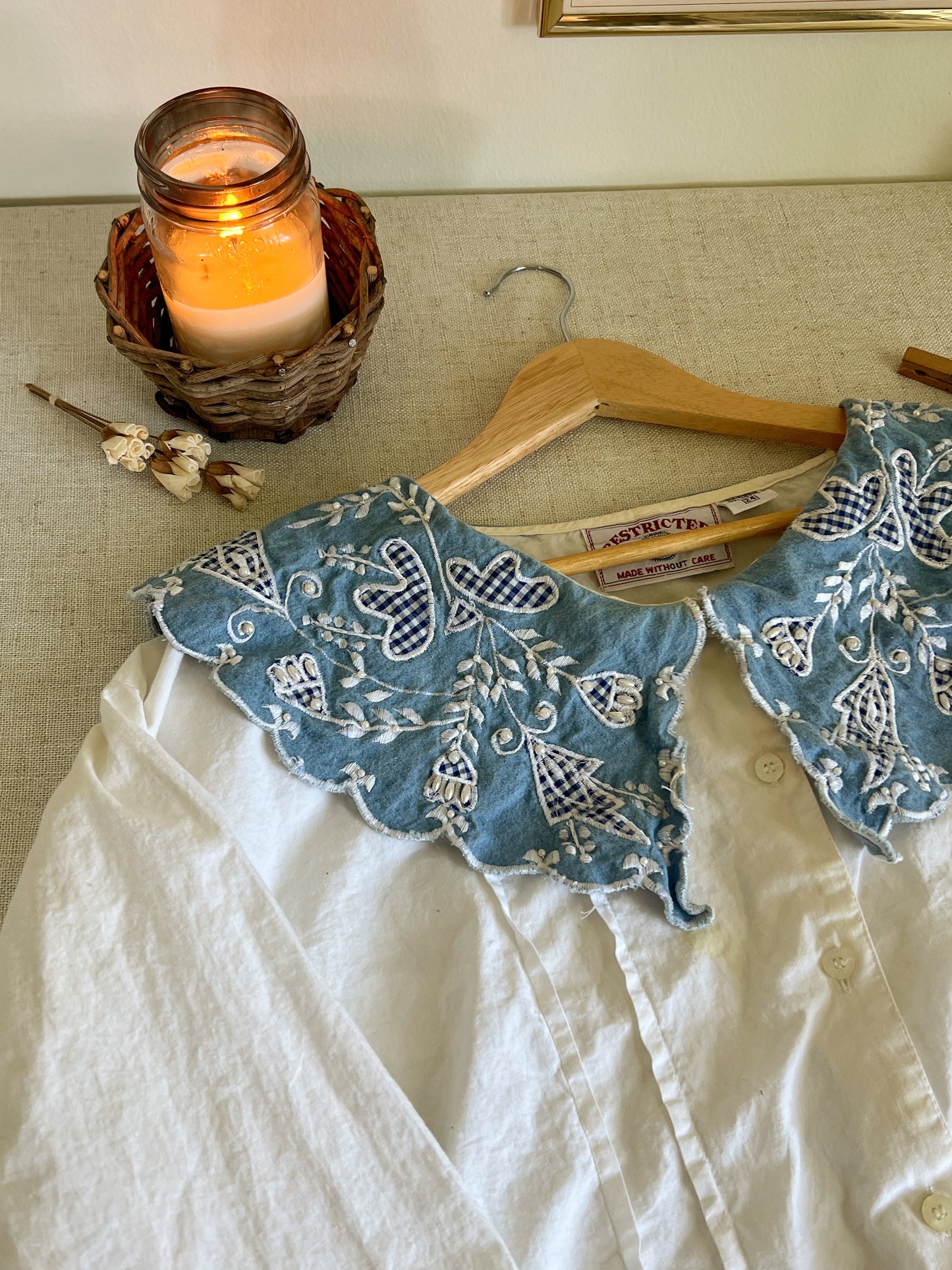 Adorable Peter Pan Collared Blouse (2X)