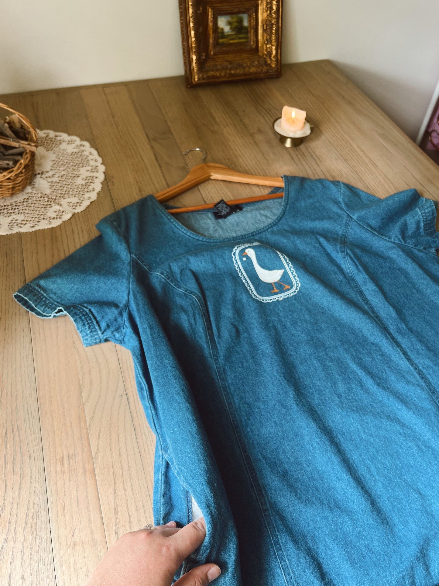 Vintage Denim Duck Dress (20W)