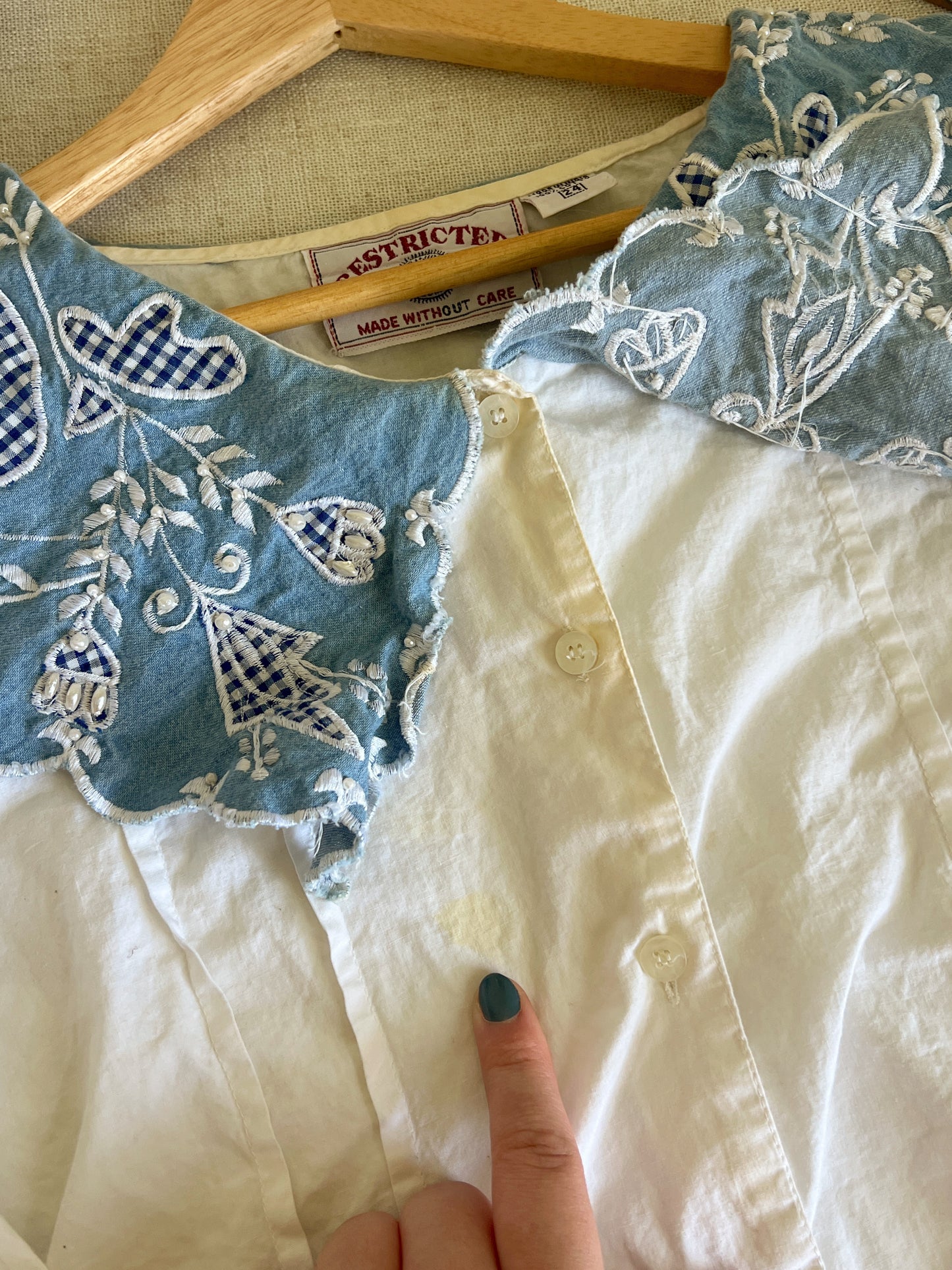 Adorable Peter Pan Collared Blouse (2X)