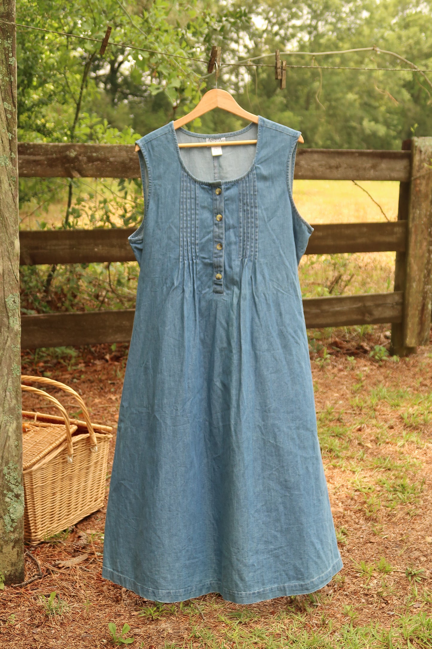 Vintage Denim Dress (1X)