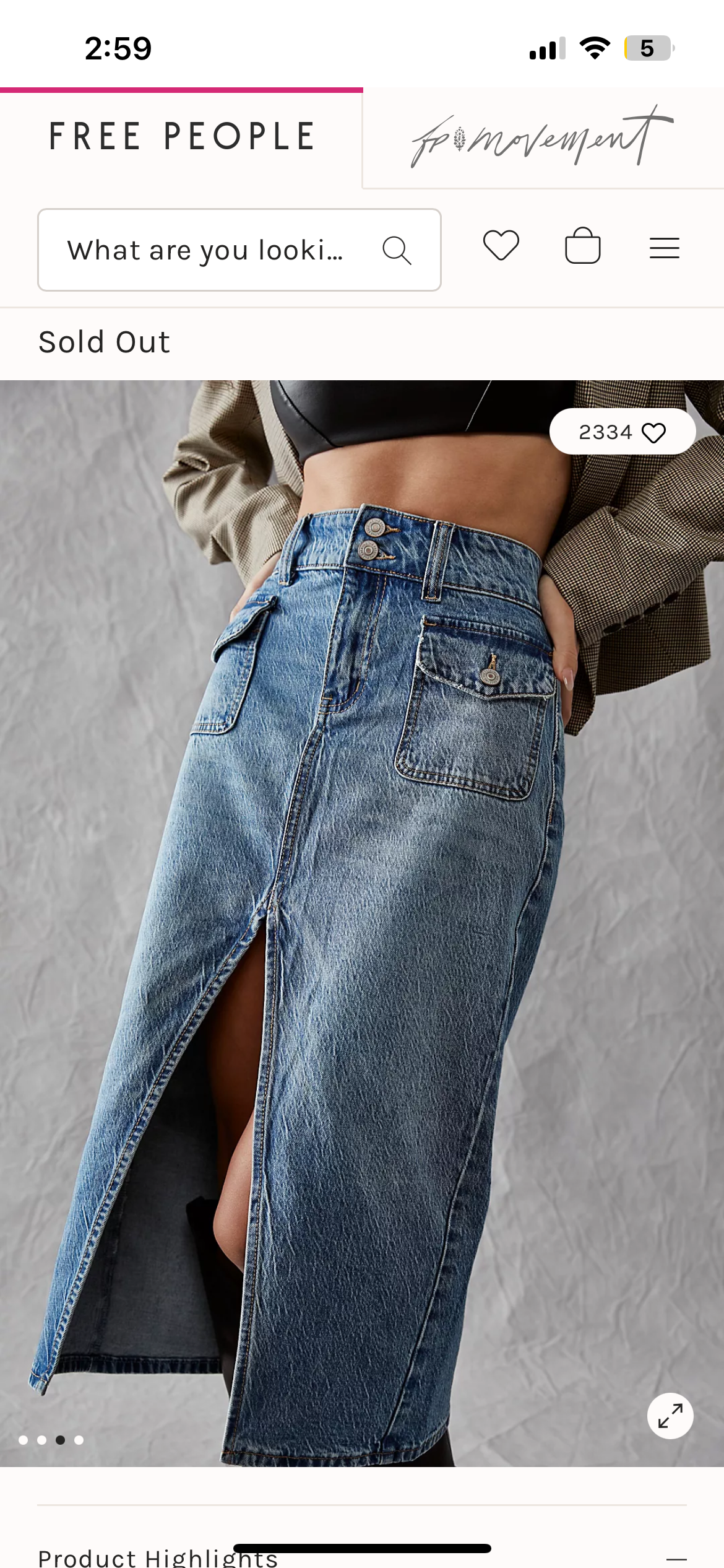 Free People Skirt (28)