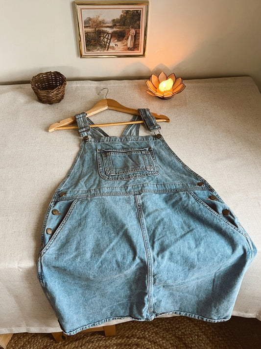 Asos Overall Dress (18)