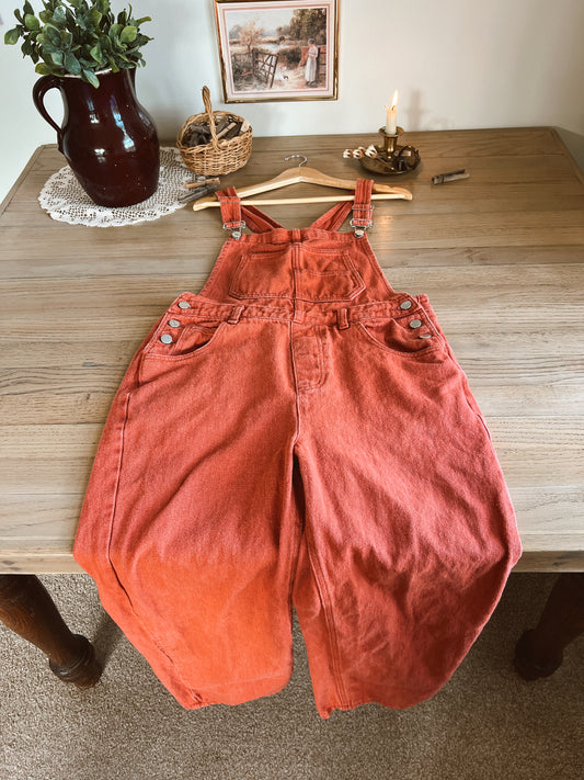Overalls (M)