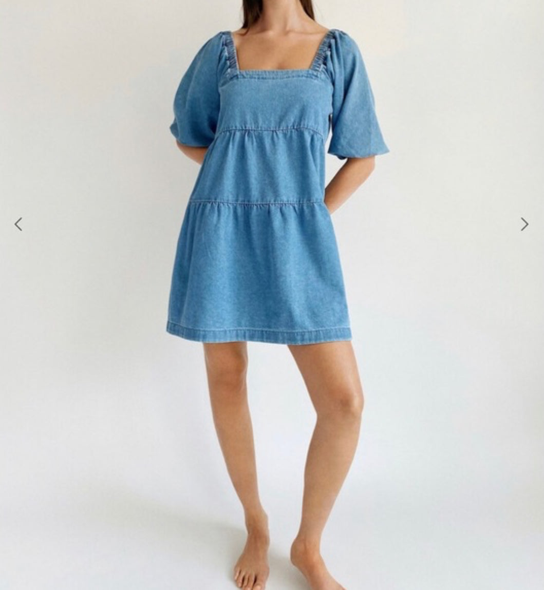 Denim Dress (L)