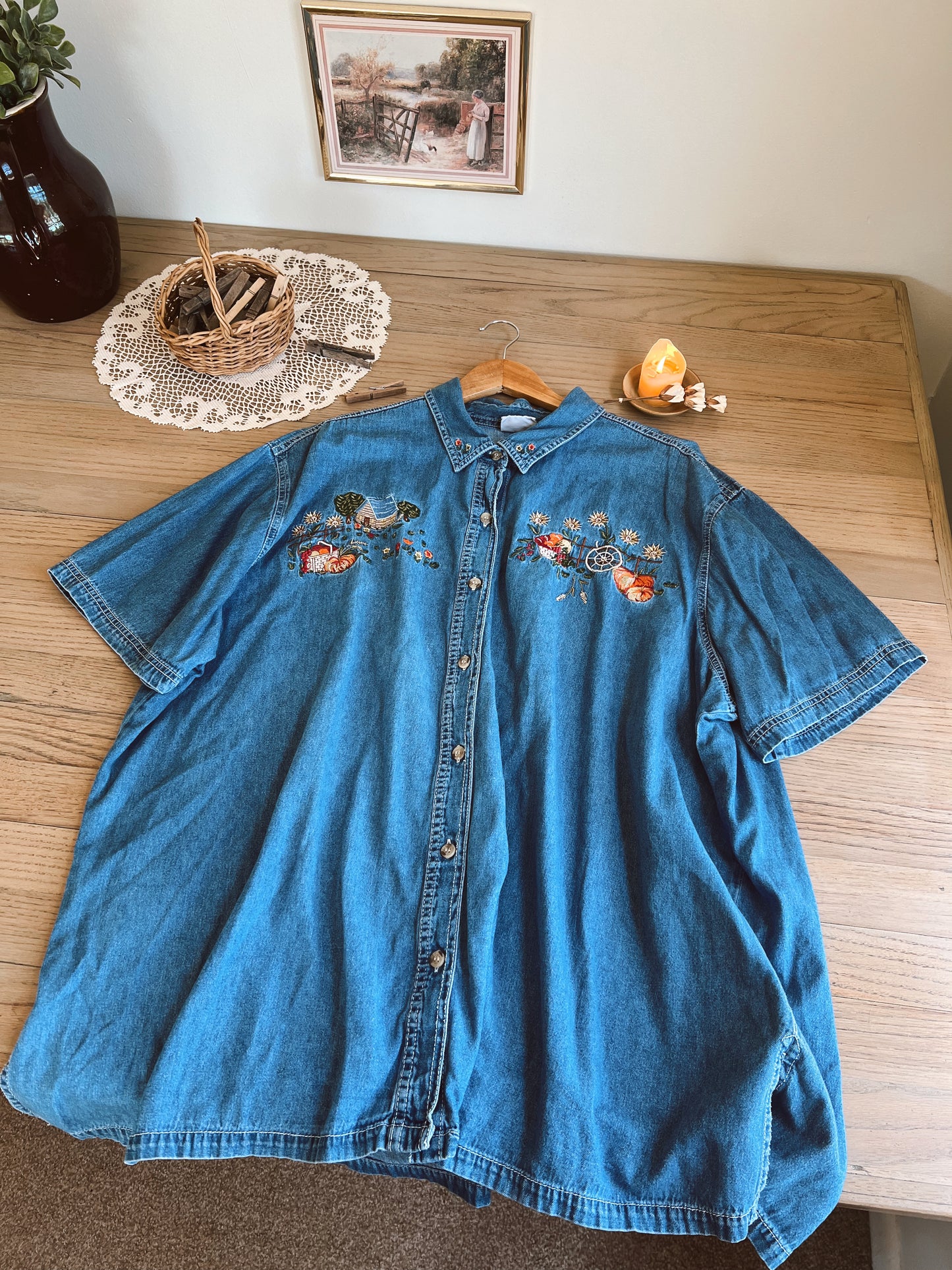 Adorable Denim Button-Up (20W)