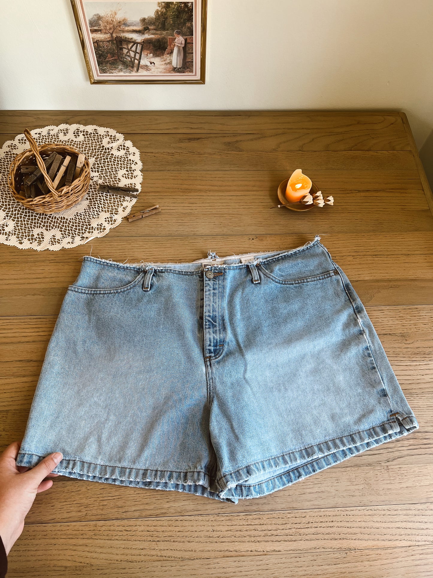 Vintage Denim Shorts (36”W))