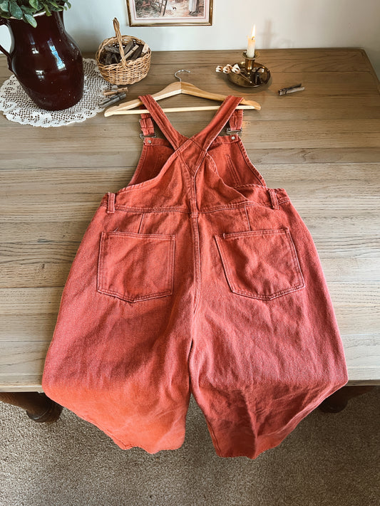 Overalls (M)