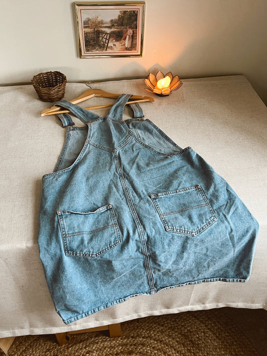 Asos Overall Dress (18)