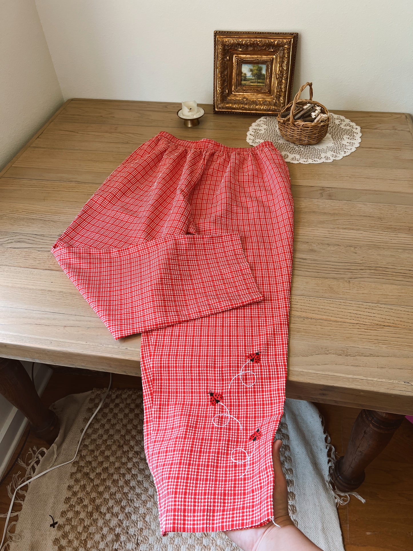 Ladybug Pants (XL)