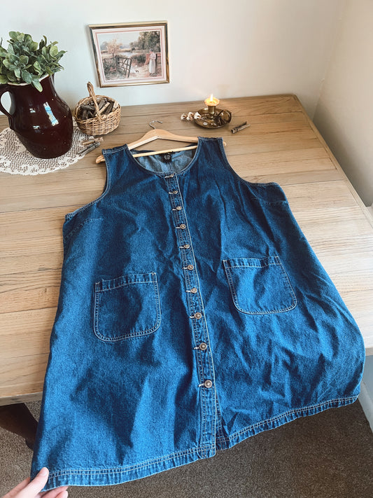 Vintage Denim Dress (2/3X)